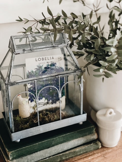Mini Greenhouse Styling Ideas