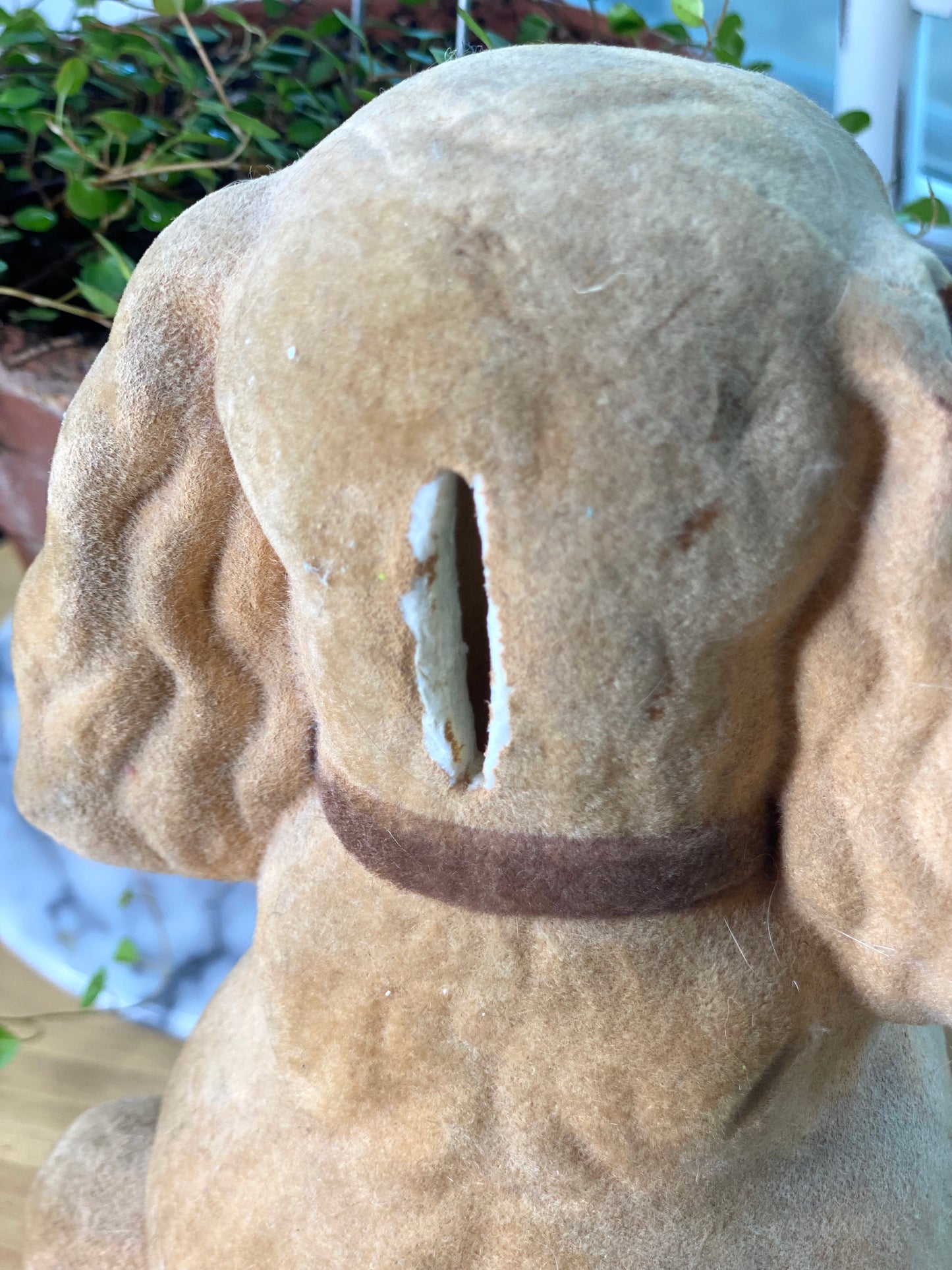 Puppy Bank Vintage