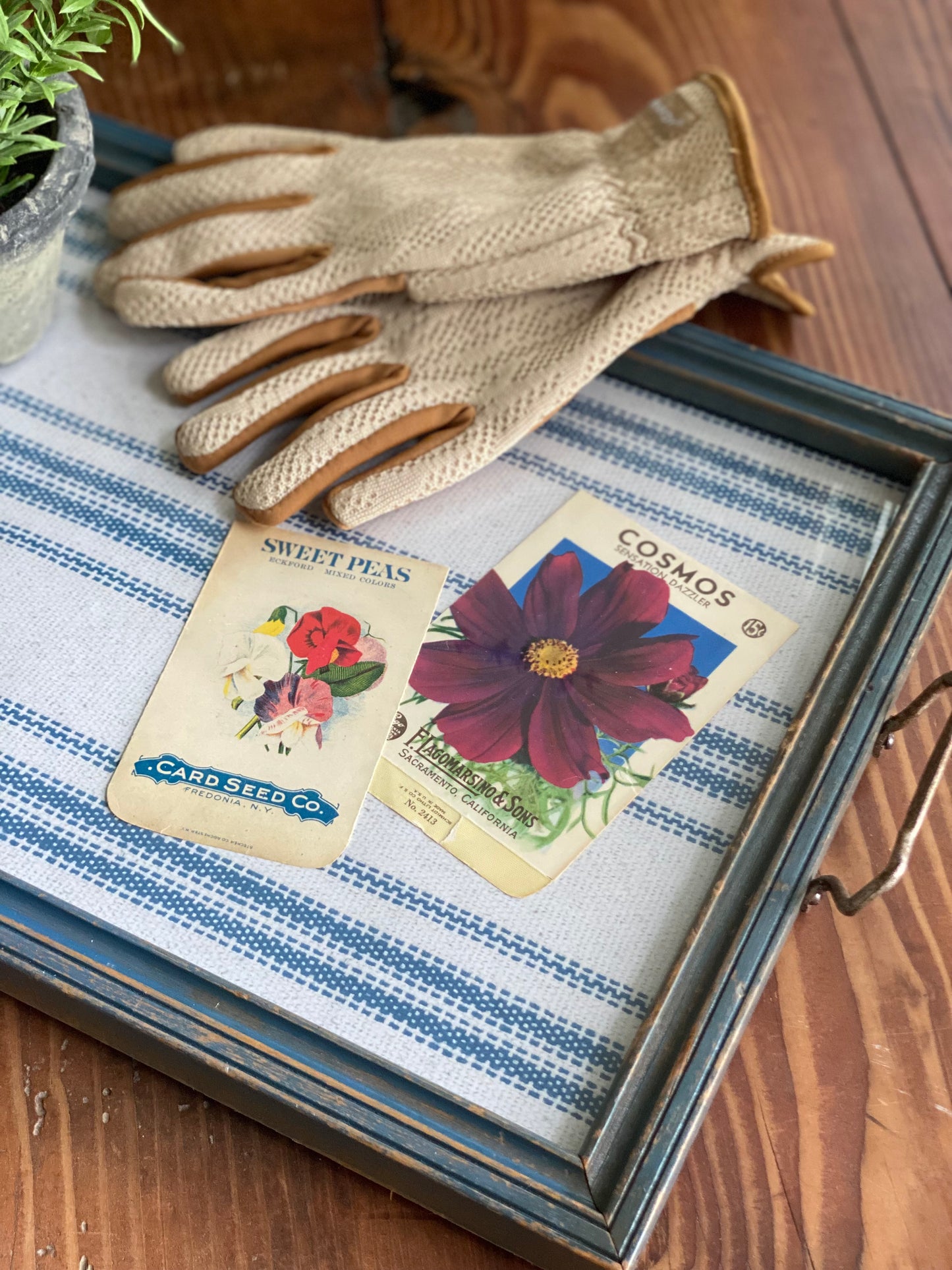 Blue Vintage Serving Tray
