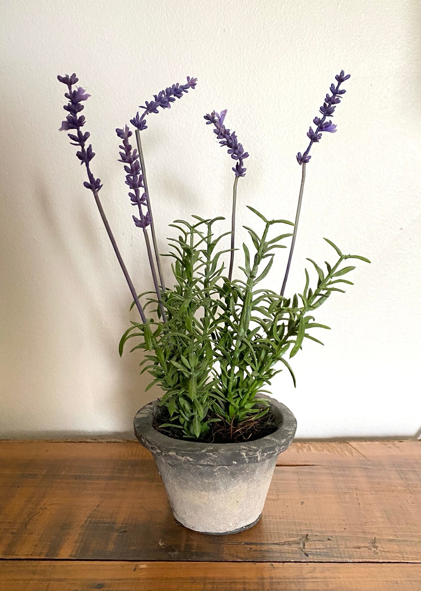 Faux Lavender in Pot