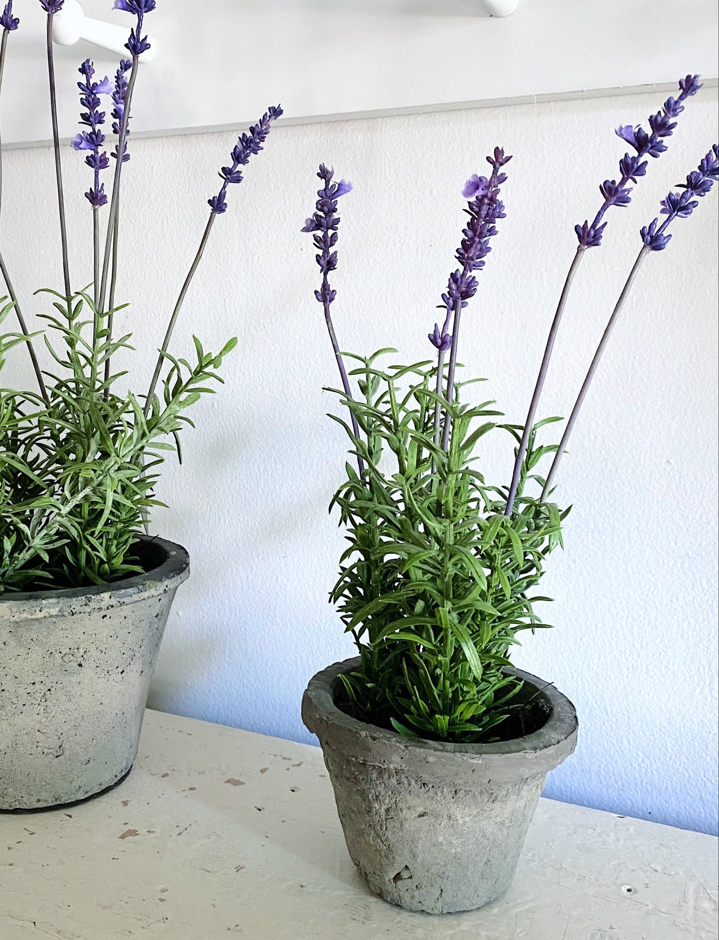 Faux Lavender Plant in Cement Pot - 12 1/2" small