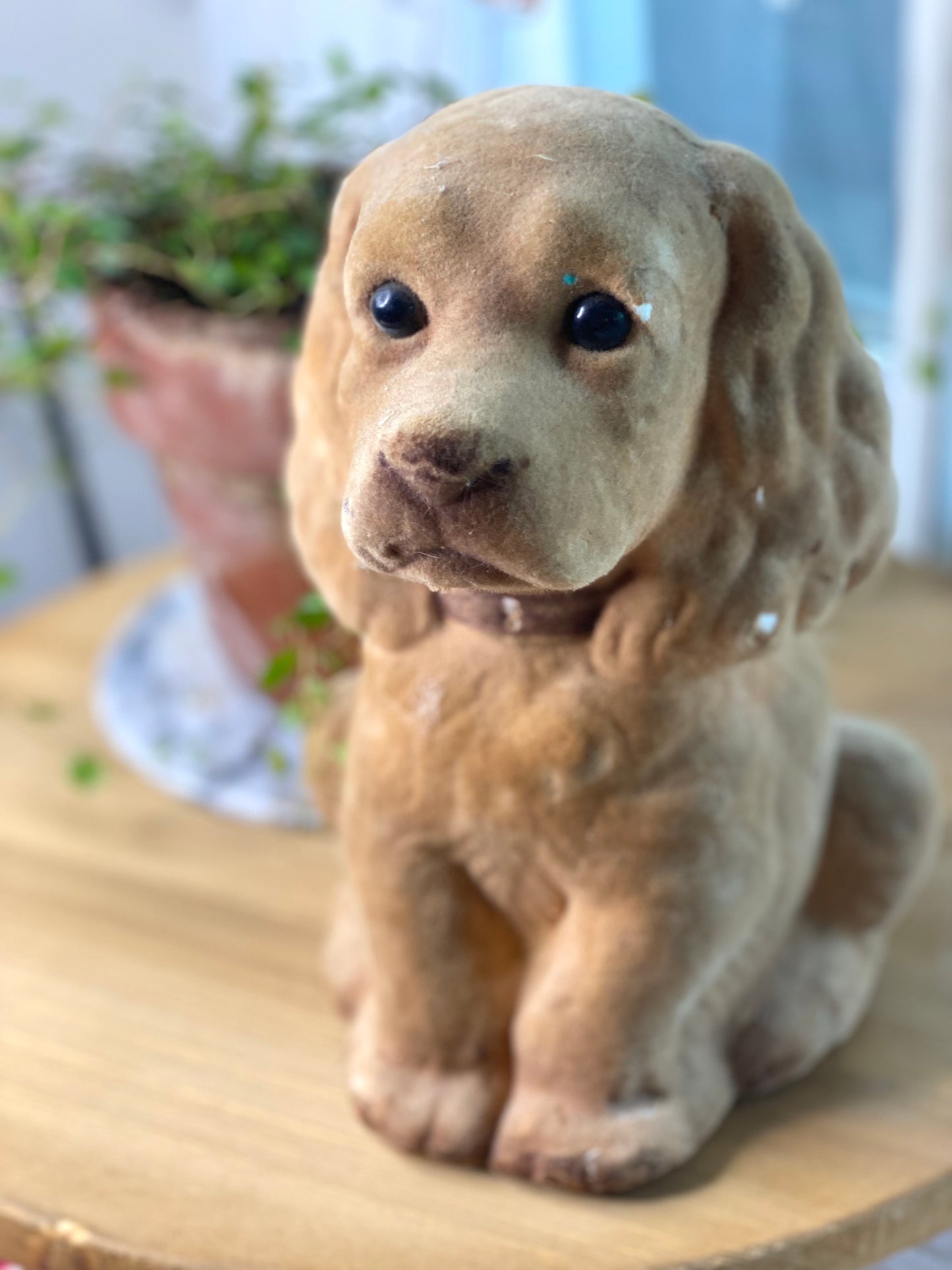 Puppy Bank Vintage