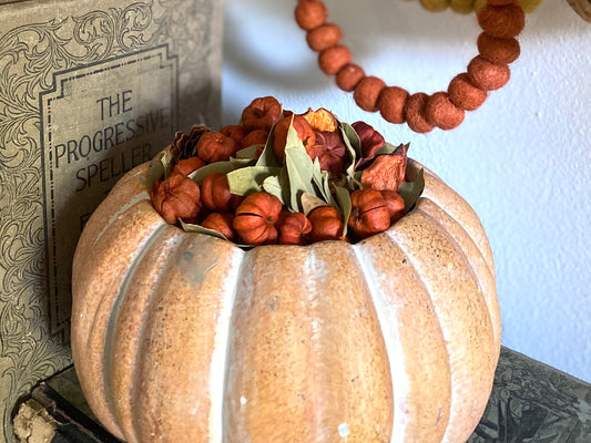 Cement Terracotta Pumpkin Planter